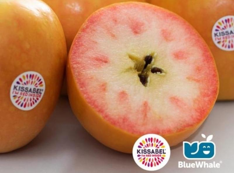 Blue Whale’s Kissabel RedFleshed Apples Arrive in China Produce Report